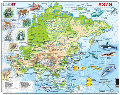 картинка Животные Азии  (Русский) от магазина konik.ru